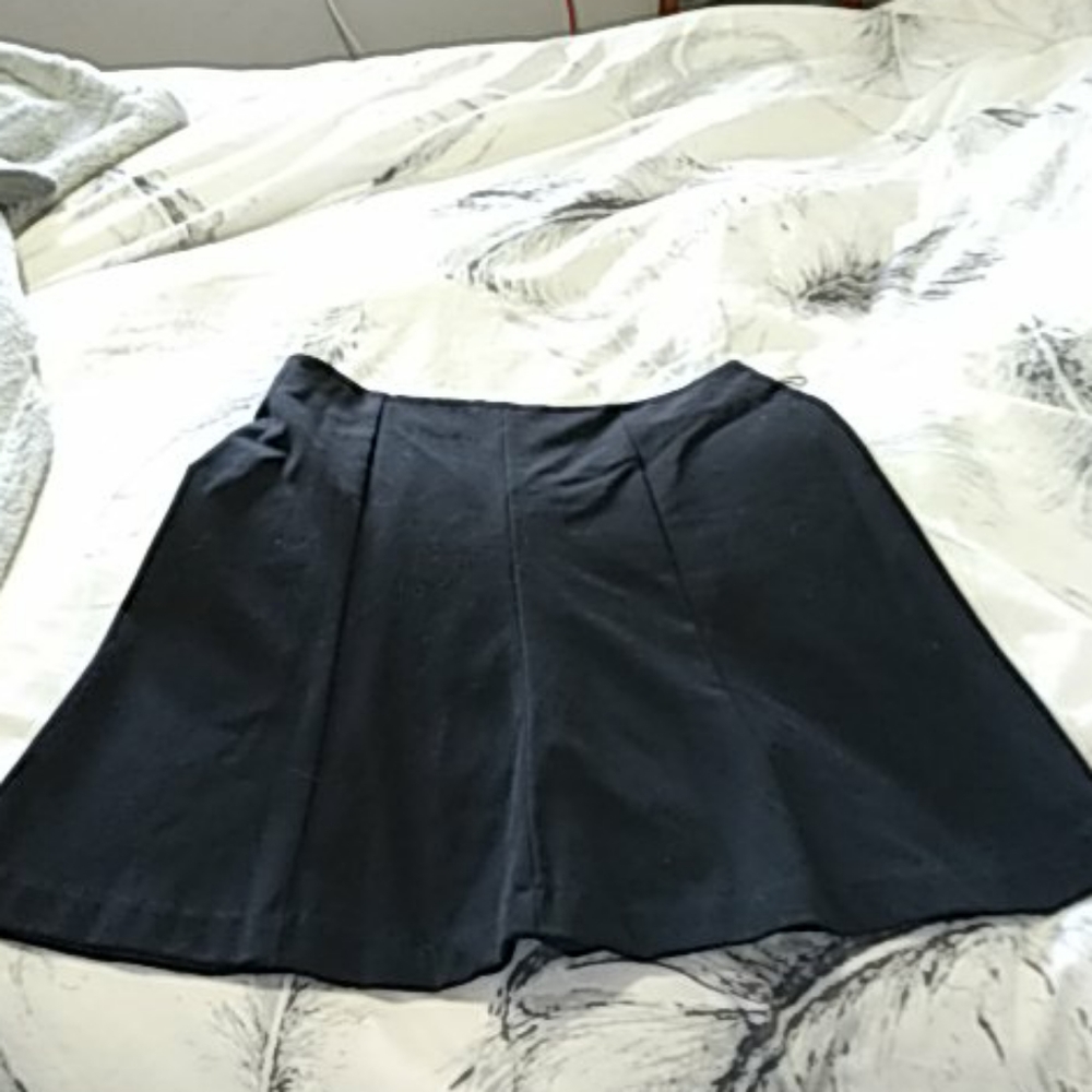 Black aline skirt